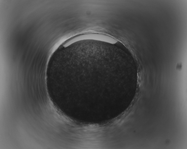 X0000116120196201001040957