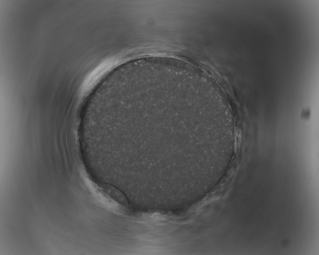 X0000116120197201001040957