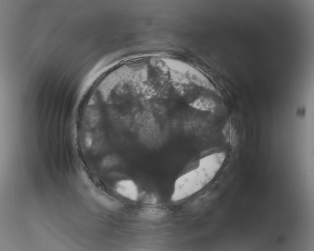 X0000116120198201001040957