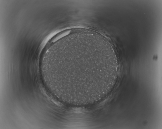 X0000116120200201001040957