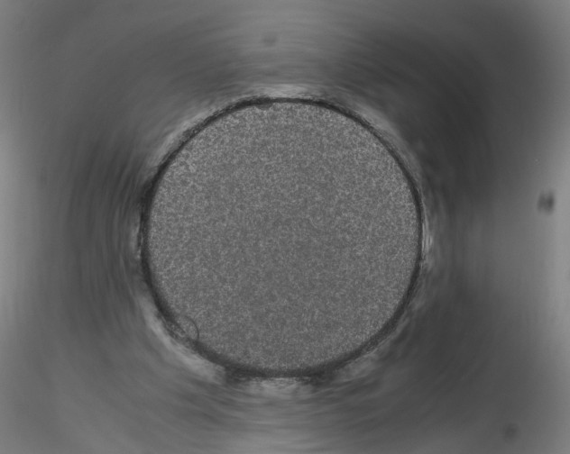 X0000116120201201001040957