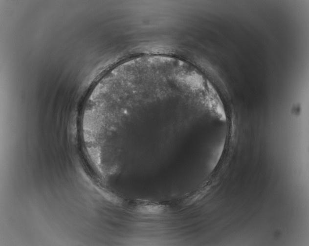 X0000116120202201001040957