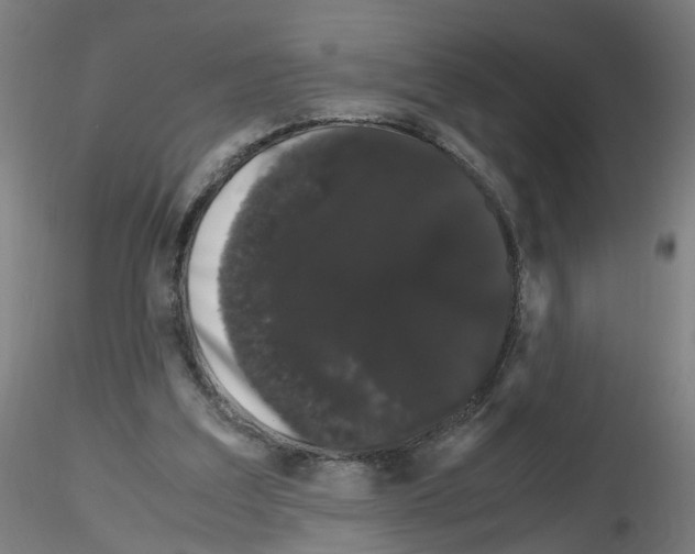 X0000116120203201001040957