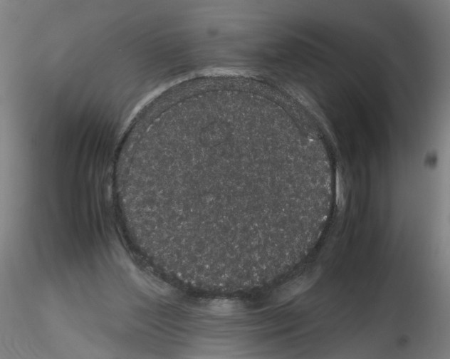 X0000116120204201001040957