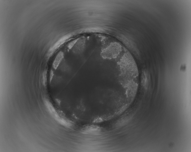 X0000116120206201001040957