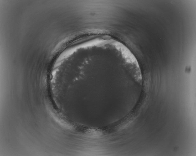 X0000116120207201001040957