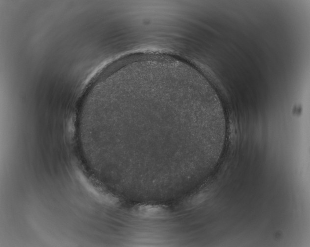 X0000116120208201001040957