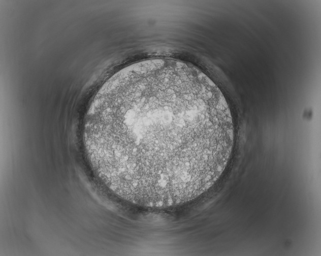 X0000116120209201001040957