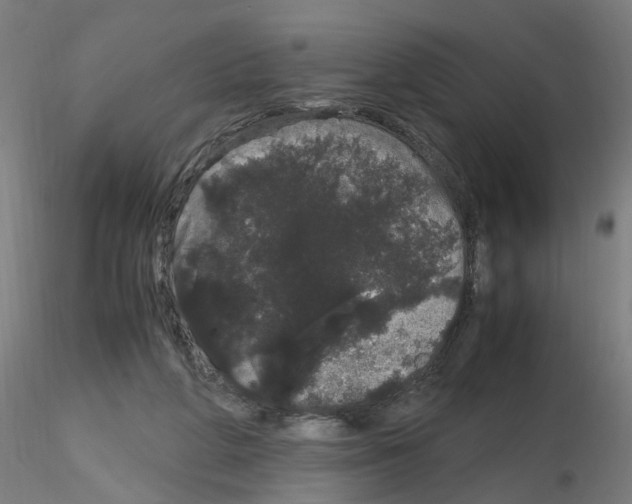 X0000116120210201001040957