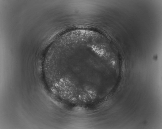 X0000116120211201001040957