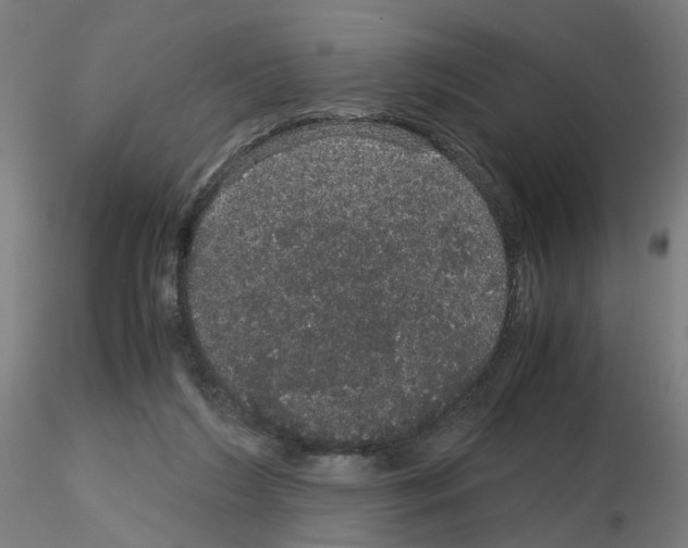 X0000116120212201001040957