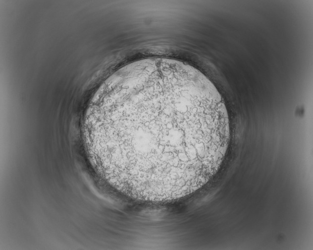 X0000116120213201001040957