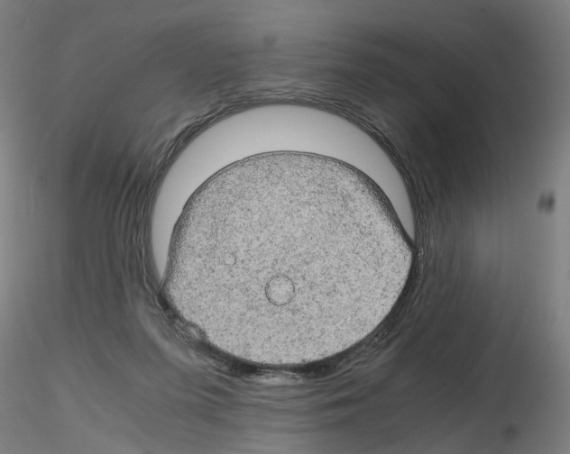 X0000116120215201001040957
