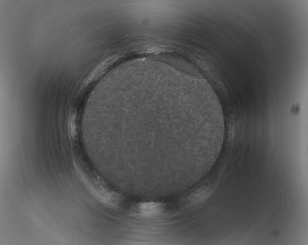 X0000116120216201001040957