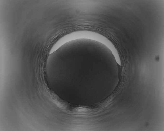 X0000116120219201001040957
