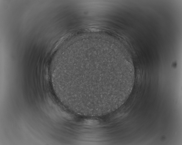 X0000116120220201001040957