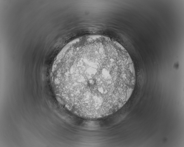 X0000116120221201001040957