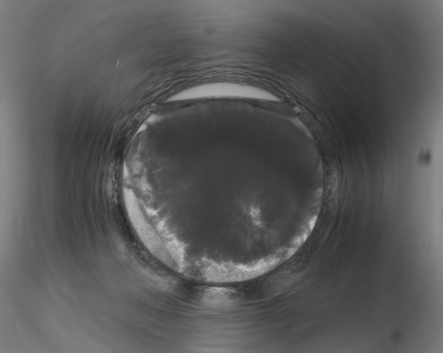 X0000116120222201001040957