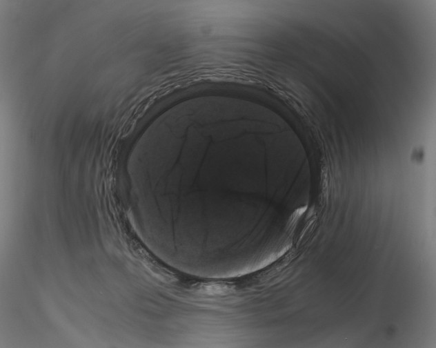 X0000116120223201001040957