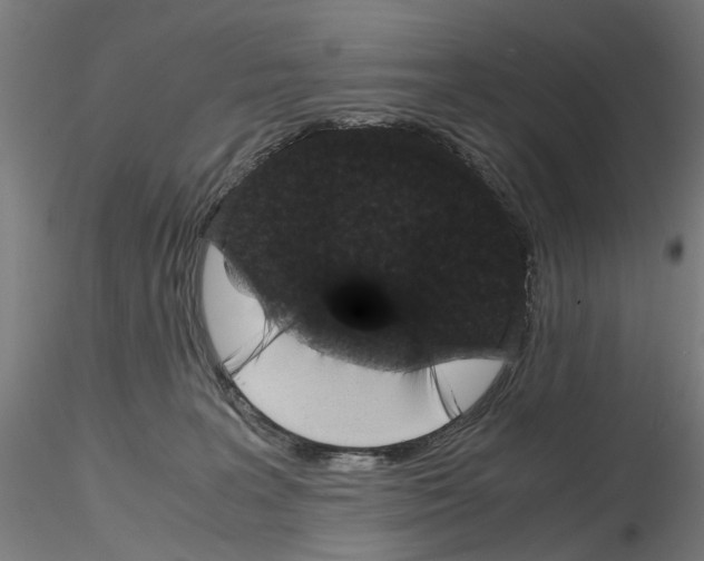 X0000116120227201001040957