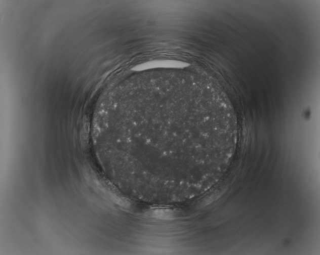 X0000116120228201001040957