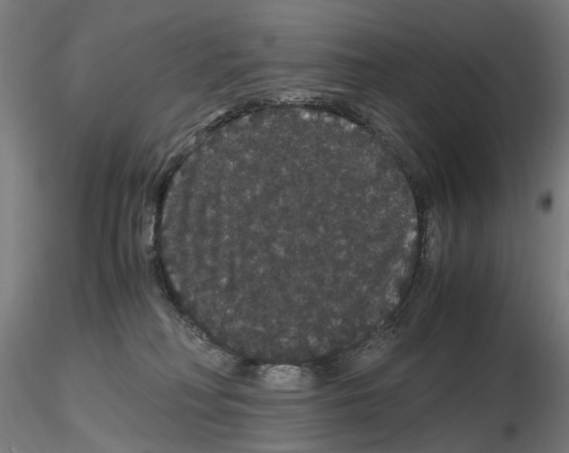 X0000116120230201001040957