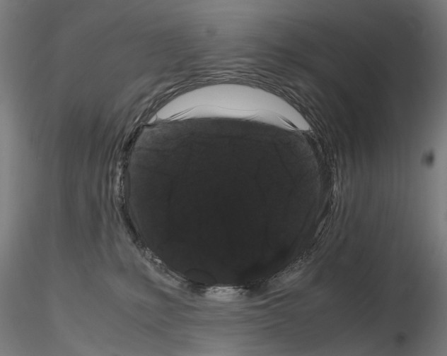 X0000116120231201001040957