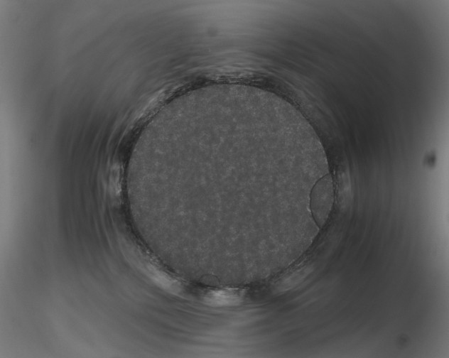 X0000116120232201001040957