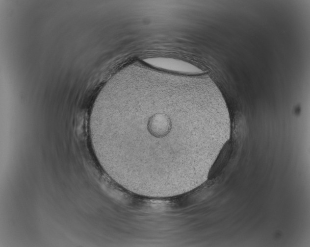 X0000116120233201001040957