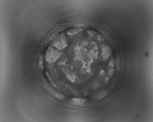X0000116120234201001040957