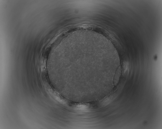 X0000116120236201001040957