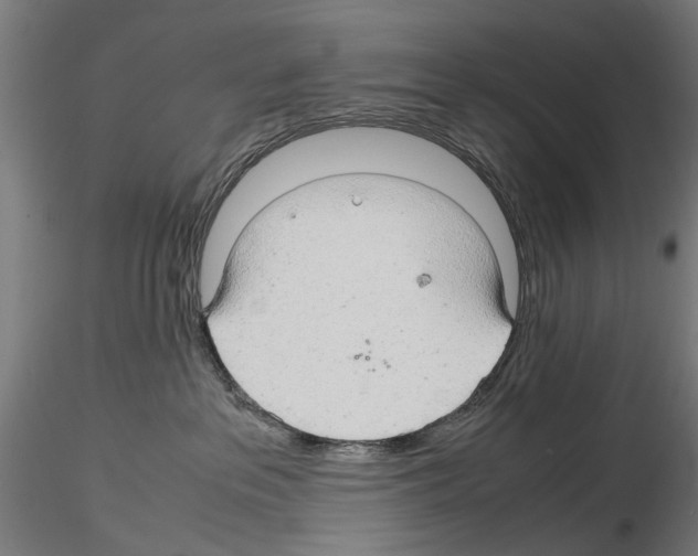 X0000116120237201001040957
