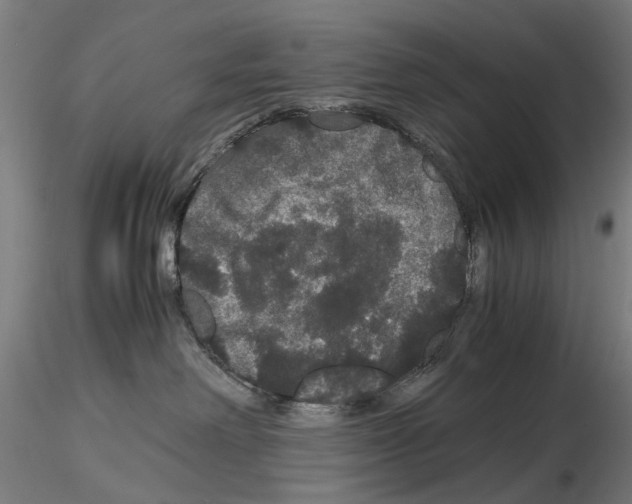 X0000116120238201001040957