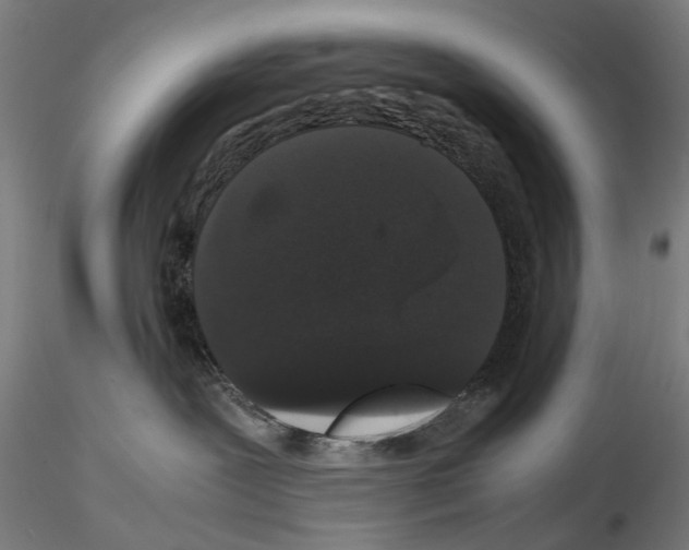 X0000116120239201001040957
