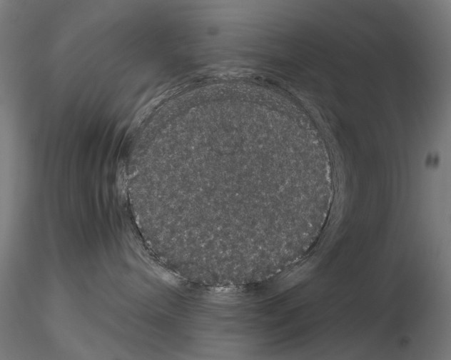 X0000116120240201001040957