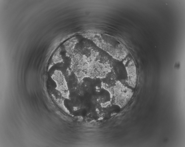 X0000116120241201001040956