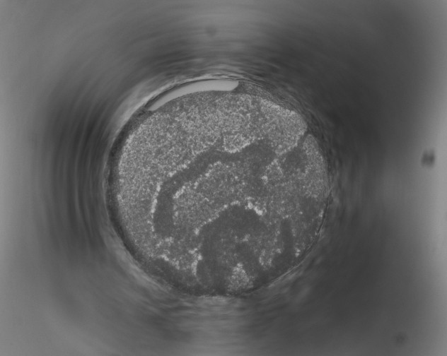 X0000116120242201001040956