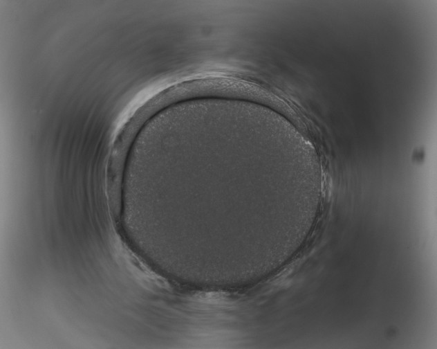 X0000116120244201001040956