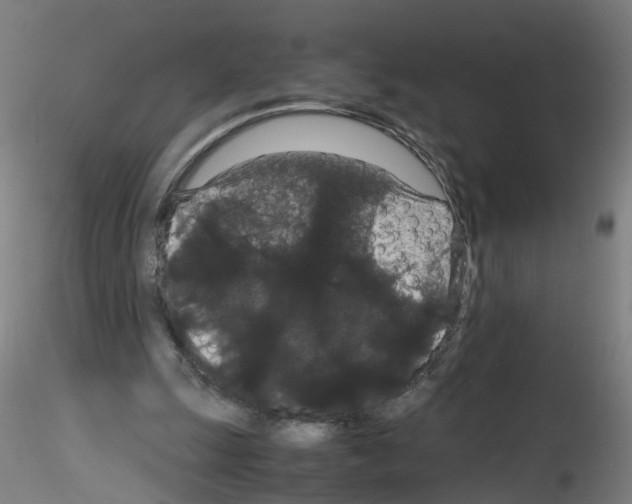 X0000116120247201001040956