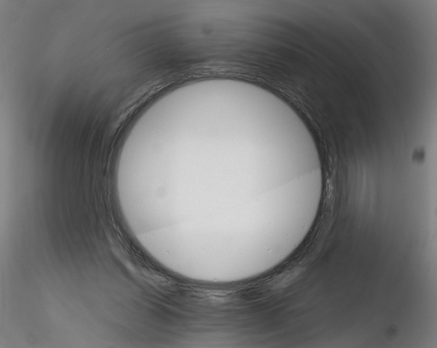 X0000116120254201001040956