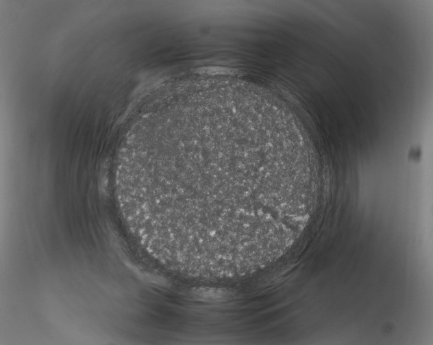 X0000116120255201001040956