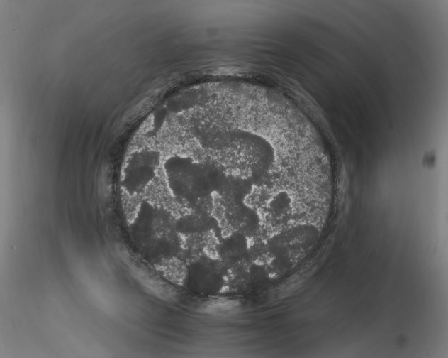 X0000116120257201001040956