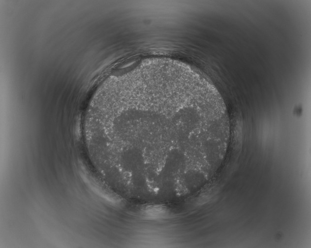 X0000116120262201001040956