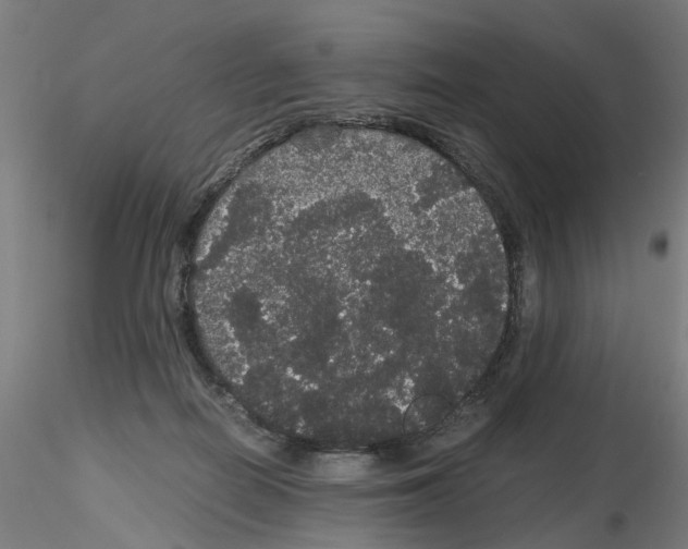 X0000116120266201001040956