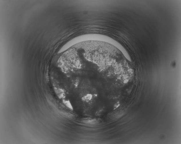 X0000116120267201001040956