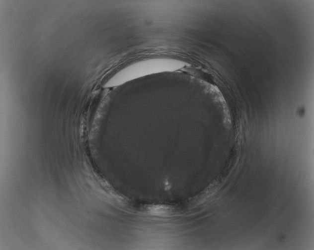 X0000116120268201001040956