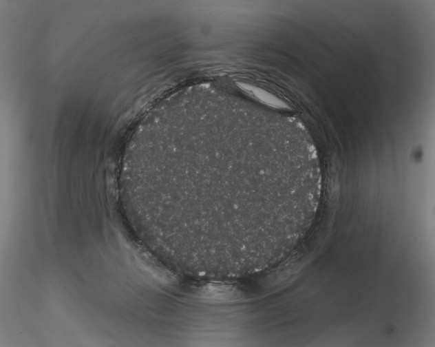 X0000116120270201001040956