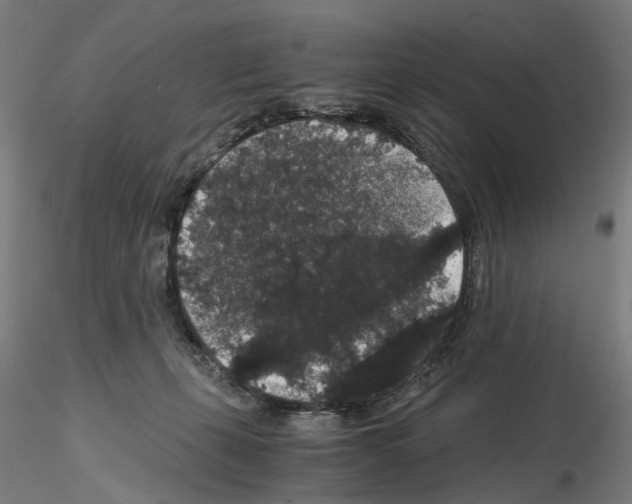 X0000116120271201001040956
