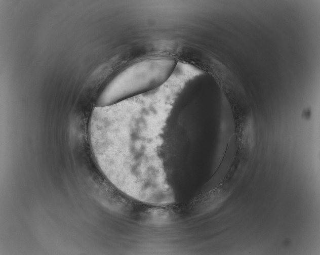 X0000116120272201001040956