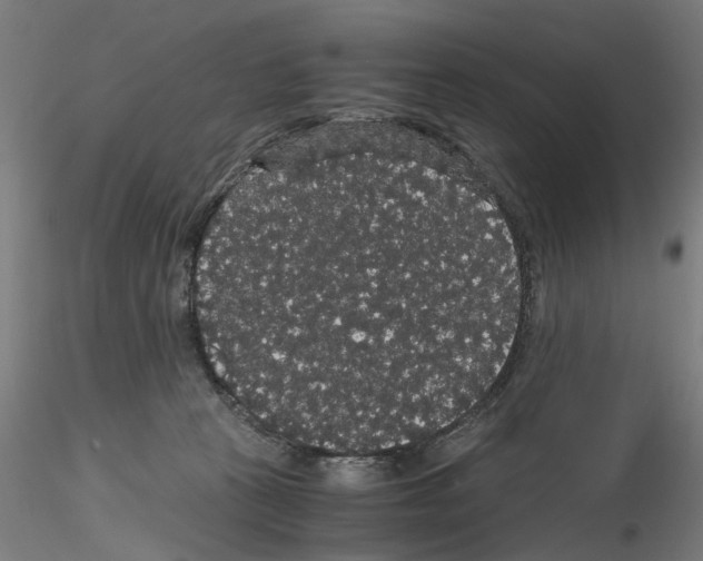 X0000116120273201001040956